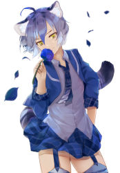 Rule 34 | 10s, 1girl, ahoge, ancolatte (onikuanco), animal ears, arm at side, blazer, blue hair, blue rose, bright background, collared shirt, commentary request, cowboy shot, flower, garter straps, gradient hair, hair between eyes, hand up, highres, holding, holding flower, jacket, kemono friends, looking at viewer, maltese tiger (kemono friends), miniskirt, multicolored hair, necktie, open jacket, open clothes, open jacket, petals, plaid, plaid skirt, rose, shirt, short hair, skirt, smile, solo, standing, striped tail, tail, thighhighs, tiger ears, tiger tail, tsurime, white shirt, wind, wing collar, yellow eyes, zettai ryouiki