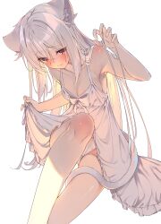 Rule 34 | 1girl, animal ear fluff, animal ears, blush, breasts, cat ears, cat girl, cat tail, dress, feet out of frame, highres, knee up, legs, long hair, looking down, medium breasts, original, panties, pantyshot, red eyes, shiro youduki, simple background, sleeveless, sleeveless dress, solo, tail, underwear, white background, white dress, white hair, white panties