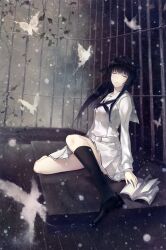 Rule 34 | 1girl, absurdres, black hair, book, bug, butterfly, cage, closed eyes, full body, highres, innocent grey, insect, kara no shoujo 2, kayahara yukiko, kneehighs, loafers, long hair, looking to the side, neckerchief, official art, open book, scan, school uniform, shoes, sidelocks, sitting, skirt, snowflakes, socks, solo, sugina miki, white butterfly, white skirt