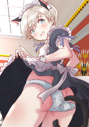 Rule 34 | 1girl, alternate costume, anal tail, animal ears, apron, blue eyes, candelabra, candlestand, cat ears, cat tail, commentary request, cowboy shot, dress, enmaided, fake tail, from behind, fuji (pixiv24804665), grey dress, highres, indoors, kantai collection, lifting own clothes, looking at viewer, looking back, maid, maid headdress, panties, short hair, solo, tail, underwear, white apron, white hair, white panties, wrist cuffs, z1 leberecht maass (kancolle)