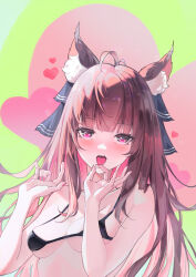 Rule 34 | 1girl, absurdres, ahoge, animal ear fluff, animal ears, bikini, black bikini, blush, brown hair, commentary, goguhaku, hands up, heart, heart-shaped pupils, highres, holo, long hair, looking at viewer, micro bikini, open mouth, pink eyes, pink nails, solo, spice and wolf, string bikini, swimsuit, symbol-shaped pupils, tongue, tongue out, upper body