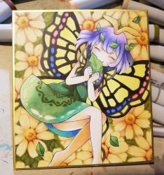 Rule 34 | 1girl, antennae, aqua hair, barefoot, blush, butterfly wings, closed eyes, closed mouth, dress, eating, eternity larva, fairy, flower, green dress, highres, holding, holding leaf, insect wings, leaf, leaf on head, multicolored clothes, multicolored dress, photo (medium), proton, shikishi, short hair, short sleeves, smile, solo, third-party source, touhou, wings, yellow flower