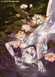 Rule 34 | chain, cuffs, handcuffs, lily pad, lying, nude, red eyes, tetz-co, white hair