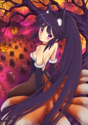 Rule 34 | 10s, 1girl, :o, akatsuki (log horizon), animal ears, arm support, arms behind back, back, bare back, bare shoulders, black hair, blush, breasts, brown pantyhose, choker, clothing cutout, cross, elbow gloves, fox ears, fox tail, from above, from side, fur trim, gloves, glowing, goth fashion, graveyard, halloween, halloween costume, high ponytail, highleg, highleg leotard, in tree, jack-o&#039;-lantern, kuma work, leotard, log horizon, long hair, looking at viewer, looking back, multiple tails, nontraditional playboy bunny, open mouth, outdoors, pantyhose, playboy bunny, ponytail, pumpkin, purple eyes, purple hair, ribbon choker, sidelocks, sitting, sitting in tree, small breasts, solo, strapless, strapless leotard, tail, tail through clothes, tombstone, tree, very long hair