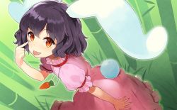 Rule 34 | 1girl, :p, akanbe, animal ears, artist request, bamboo, bamboo forest, black hair, brown eyes, carrot necklace, cowboy shot, dress, eyelid pull, forest, hand up, inaba tewi, jewelry, looking at viewer, nature, necklace, outdoors, pink dress, puffy short sleeves, puffy sleeves, rabbit ears, rabbit girl, rabbit tail, short hair, short sleeves, smile, solo, standing, tail, tongue, tongue out, touhou, touhou cannonball