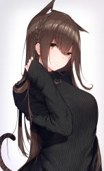 Rule 34 | 1girl, absurdres, animal ear fluff, animal ears, black sweater, braid, breasts, brown hair, cat ears, cat tail, closed mouth, earrings, eyes visible through hair, hand up, highres, jewelry, large breasts, long hair, long sleeves, looking at viewer, original, ribbed sweater, sleeves past wrists, solo, sweater, tail, upper body, yellow eyes, yukichi (sukiyaki39)