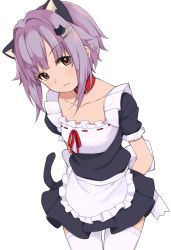 Rule 34 | 1girl, alternate costume, animal ears, apron, arms behind back, bad id, bad pixiv id, brown eyes, cat ears, cat hair ornament, cat tail, collar, enmaided, hair ornament, hairpin, idolmaster, idolmaster cinderella girls, kirarin369, koshimizu sachiko, looking at viewer, maid, purple hair, short hair, short sleeves, simple background, solo, standing, tail, thighhighs, white background, white thighhighs