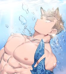 Rule 34 | 1boy, abs, air bubble, animal ear fluff, animal ears, bandana, bara, blonde hair, bubble, dog boy, dog ears, forked eyebrows, gondom, highres, large pectorals, male focus, muscular, nipples, original, pectorals, topless male, short hair, sideburns, solo, spiked hair, thick eyebrows, underwater, water, yellow eyes