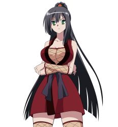 Rule 34 | 10s, 1girl, absurdres, black hair, breasts, crossed arms, green eyes, highres, kore wa zombie desu ka?, large breasts, long hair, ninja, non-web source, seraphim (korezom), simple background, solo, transparent background, vector trace