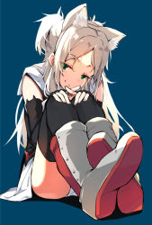 Rule 34 | 1girl, :3, animal ear fluff, animal ears, azur lane, black gloves, black thighhighs, blue background, boots, cat ears, crossed ankles, elbow gloves, fingerless gloves, gloves, green eyes, hands on own knees, knee boots, knees to chest, long hair, looking at viewer, panties, simple background, sims (azur lane), sitting, solo, thighhighs, underwear, white hair, white panties, youhei 64d, zettai ryouiki