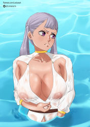 Rule 34 | 1girl, black clover, breasts, breasts out, female focus, grey hair, highres, large breasts, looking to the side, lorianarts, nipples, no bra, noelle silva, presenting, purple eyes, text focus, twintails, water, wet, wet clothes