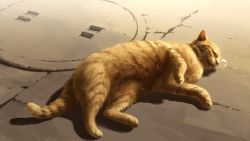 Rule 34 | animal, animal focus, cat, closed eyes, closed mouth, day, full body, lying, manhole cover, mocha (cotton), no humans, nose bubble, on side, original, outdoors, realistic, sleeping