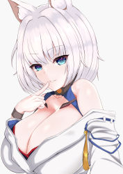 Rule 34 | 1girl, absurdres, animal ear fluff, animal ears, anpanmen (anpanmenkosian), azur lane, bare shoulders, breasts, cleavage, finger to mouth, fox ears, hand up, highres, huge breasts, japanese clothes, kaga (azur lane), kimono, looking at viewer, off shoulder, parted lips, short hair, simple background, smile, upper body, white hair, white kimono