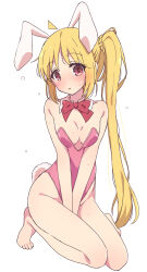 Rule 34 | 1girl, ahoge, animal ears, bare shoulders, barefoot, blonde hair, blush, bocchi the rock!, bow, bowtie, breasts, cleavage, detached collar, fake animal ears, fake tail, highleg, highleg leotard, highres, ijichi nijika, leotard, long hair, looking at viewer, mel (melty pot), pink leotard, playboy bunny, rabbit ears, rabbit tail, side ponytail, simple background, small breasts, solo, strapless, strapless leotard, tail, v arms, white background