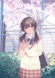 Rule 34 | 1girl, absurdres, bag, black hair, blue bow, bow, brown eyes, brown skirt, brown sweater, cherry blossoms, collared shirt, commentary request, day, dress shirt, fence, grin, hechima (issindotai), highres, holding, holding umbrella, long hair, looking at viewer, low twintails, original, outdoors, plaid, plaid skirt, pleated skirt, school bag, school uniform, shirt, skirt, smile, solo, sweater, transparent, transparent umbrella, twintails, umbrella, white shirt