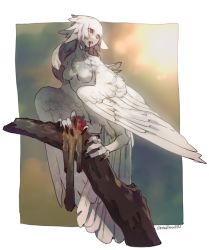 Rule 34 | 1girl, blood, branch, breasts, commentary request, eating, feather hair, feathers, harpy, long hair, medium breasts, monster girl, mullmull02, original, red eyes, talons, winged arms, wings