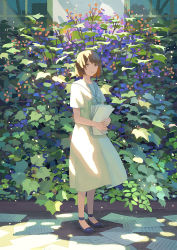 Rule 34 | 1girl, bare legs, black footwear, bob cut, brown hair, closed mouth, dress, eyebrows, flower, highres, hiko (scape), holding, holding paper, looking at viewer, original, paper, plant, sailor collar, shoes, short hair, short sleeves, smile, solo, standing, summer uniform, white dress, yellow eyes