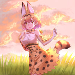 Rule 34 | 10s, 1girl, 2804281484, :o, animal ears, bad id, bad pixiv id, bare shoulders, belt, bow, bowtie, cloud, commentary, elbow gloves, evening, extra ears, eyes visible through hair, gloves, grass, high-waist skirt, highres, kemono friends, looking at viewer, orange eyes, outdoors, print bow, print bowtie, print gloves, print neckwear, print skirt, serval (kemono friends), serval print, serval tail, shirt, skirt, sleeveless, sleeveless shirt, solo, tail, white shirt