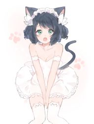 Rule 34 | 10s, 1girl, :o, animal ear legwear, animal ears, aqua eyes, arm strap, bad id, bad pixiv id, between legs, breasts, cat ear legwear, cat ears, cat girl, cat tail, cleavage, curly hair, cyan (show by rock!!), dress, female focus, gradient background, hand between legs, looking at viewer, maid headdress, marin (myuy 3), paw print, short hair, show by rock!!, signature, small breasts, solo, tail, thighhighs, white background, white dress, white thighhighs