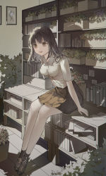 Rule 34 | 1girl, arms at sides, black footwear, black socks, book, bookshelf, breasts, brown eyes, brown hair, brown skirt, collared shirt, commentary, dress shirt, full body, highres, indoors, large breasts, legs together, loafers, looking at viewer, medium hair, muyu713, original, pale skin, parted lips, plant, pleated skirt, potted plant, shadow, shirt, shirt tucked in, shoes, short sleeves, sitting, sitting on object, skirt, smile, socks, solo, teeth, upper teeth only, white shirt