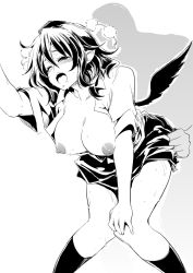 Rule 34 | 1girl, bad id, bad pixiv id, blush, breasts, clothed sex, from behind, greyscale, hat, large breasts, lefthand, monochrome, nipples, open clothes, open shirt, pointy ears, pom pom (clothes), sex, shameimaru aya, shirt, solo focus, tokin hat, touhou, wings