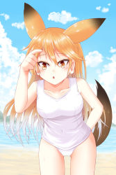 Rule 34 | 10s, 1girl, animal ears, arms behind back, bare shoulders, beach, blonde hair, blush, breasts, brown eyes, brown hair, collarbone, colored eyelashes, commentary request, day, ezo red fox (kemono friends), fox ears, fox tail, highres, kemono friends, long hair, looking at viewer, medium breasts, ocean, one-piece swimsuit, open mouth, school swimsuit, sky, solo, sora (sunday sky), swimsuit, tail, white school swimsuit, white one-piece swimsuit