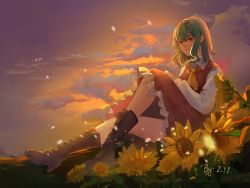 Rule 34 | 1girl, artist name, ascot, boots, brown footwear, chinese commentary, closed mouth, cloud, collared shirt, commentary request, cross-laced footwear, dusk, expressionless, eyebrows hidden by hair, flower, full body, green hair, hair between eyes, highres, kazami yuuka, lips, long legs, long sleeves, looking at viewer, medium hair, outdoors, plaid, plaid skirt, plaid vest, red eyes, red skirt, red vest, shirt, sitting, skirt, skirt set, sky, solo, sunflower, touhou, vest, wavy hair, white shirt, yellow ascot, yellow flower, zai moyu de fanqing