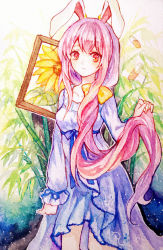 Rule 34 | 1girl, animal ears, ballpoint pen (medium), blue hair, breasts, color ink (medium), commentary, flower, frown, grass, holding, holding own hair, long hair, long sleeves, looking at viewer, medium breasts, mirror (xilu4), multicolored hair, nightgown, painting (object), pink hair, rabbit ears, red eyes, reisen udongein inaba, solo, standing, sunflower, touhou, traditional media, very long hair