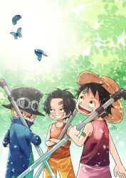 Rule 34 | 3boys, aco peda, bandaid, bandaid on arm, bandaid on face, black hair, blonde hair, blue coat, bug, butterfly, child, coat, commentary request, feathers, freckles, goggles, goggles on headwear, hat, highres, holding, insect, looking at viewer, looking up, monkey d. luffy, multiple boys, one piece, orange shorts, orange tank top, pink shorts, portgas d. ace, red tank top, sabo (one piece), short hair, shorts, signature, smile, straw hat, tank top, top hat