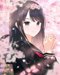 Rule 34 | 1girl, black hair, black shirt, blurry, blush, bosumonki, cherry blossoms, commentary, depth of field, highres, idolmaster, idolmaster shiny colors, kazano hiori, looking at viewer, looking to the side, mole, mole under mouth, neckerchief, outdoors, own hands together, purple eyes, red neckerchief, school uniform, serafuku, shirt, smile, upper body