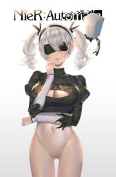 Rule 34 | 1girl, alternate hairstyle, blindfold, breasts, cameltoe, cleavage, cleavage cutout, cleft of venus, clothing cutout, covered navel, feather-trimmed sleeves, hairband, highres, hk (hk), large breasts, leotard, mole, mole under mouth, navel, nier (series), nier:automata, parted lips, pod (nier:automata), pussy, robot, see-through, silver hair, smile, solo, thighhighs, twintails, uncensored, 2b (nier:automata)