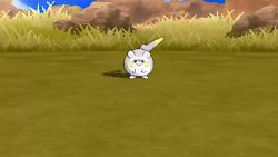 Rule 34 | 10s, animated, animated gif, artist request, creatures (company), game freak, gen 7 pokemon, grass, lowres, nintendo, pokemon, pokemon sm, rock, spikes, tagme, togedemaru, zooming in