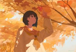 1girl artist_name autumn autumn_leaves blouse branch brown_eyes brown_hair closed_mouth commentary_request dappled_sunlight dated day hand_up holding holding_leaf leaf long_sleeves maple_leaf neckerchief orange_sailor_collar orange_theme original outdoors sailor_collar school_uniform serafuku shirt short_hair smile solo sunlight tree upper_body white_shirt xilmo yellow_neckerchief