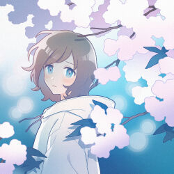 Rule 34 | 1girl, blue eyes, blush, branch, brown hair, cherry blossoms, closed mouth, commentary, drawstring, expressionless, flower, from side, highres, hood, hood down, hoodie, leaf, looking at viewer, medium hair, nahara saki, original, pink flower, plant, solo, tree, turning head, unfinished, upper body, white hoodie, wind