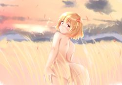 Rule 34 | 1girl, aki shizuha, bad id, bad pixiv id, blonde hair, blush, cloud, cloudy sky, convenient censoring, embarrassed, field, from behind, hair ornament, highres, leaf hair ornament, looking at viewer, looking back, mountain, nude, septet (zrca janne), short hair, sky, solo, sunrise, touhou, wind, yellow eyes