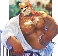 Rule 34 | 1boy, ahamma, animal ears, bara, bare pectorals, bear boy, bear ears, belly, brown fur, chest hair, dougi, fat, fat man, feet out of frame, furry, furry male, large pectorals, looking to the side, male focus, mature male, muscular, muscular male, navel, nipples, open clothes, open shirt, original, pectorals, short hair, sideburns, smile, solo, stomach, sunlight, sweat, thick eyebrows, wiping sweat