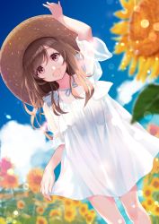 Rule 34 | 1girl, :d, arm up, blurry, blurry background, blush, brown eyes, brown hair, brown headwear, commentary request, day, depth of field, dress, field, flower, flower field, hand on headwear, highres, idolmaster, idolmaster shiny colors, long hair, looking at viewer, open mouth, outdoors, puffy short sleeves, puffy sleeves, rin2008, see-through, see-through silhouette, see-through sleeves, short sleeves, smile, solo, sunflower, sunflower field, tsukioka kogane, white dress, yellow flower