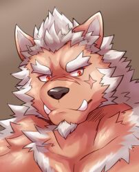 Rule 34 | 1boy, absurdres, animal ears, bara, brown background, brown fur, closed mouth, cross scar, dog boy, dog ears, facial hair, forked eyebrows, furry, furry male, goatee, gradient background, highres, looking to the side, male focus, marchosias (housamo), nude, portrait, red eyes, scar, scar on face, scar on nose, short hair, snout, solo, thick eyebrows, tokyo houkago summoners, tusks, two-tone fur, white fur, white hair, znoneikaga