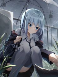 Rule 34 | 1girl, animal, bad id, bad twitter id, bag, black jacket, black necktie, black skirt, blue eyes, blue hair, blush, cat, collared shirt, feet out of frame, grass, hair between eyes, highres, holding, holding umbrella, jacket, long hair, long sleeves, looking at animal, mame (hyeon5117), miniskirt, necktie, off shoulder, open clothes, open jacket, original, power lines, rain, reaching, shirt, shoulder bag, skirt, smile, solo, squatting, thighhighs, transparent, transparent umbrella, umbrella, utility pole, white shirt, white thighhighs