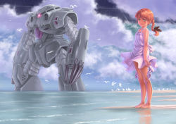 Rule 34 | 1girl, arms at sides, bad id, bad pixiv id, barefoot, beach, bird, blush, braid, brown hair, cloud, cloudy sky, day, dress, green eyes, gundam, gundam 0080, high heels, holding, holding shoes, kosai takayuki, long hair, looking at viewer, mecha, mobile suit gundam, ocean, outdoors, robot, shoes, sky, solo, star (sky), starry sky, twin braids, twintails, unworn shoes, water, white dress, z&#039;gok, z&#039;gok-e