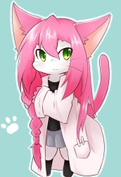 Rule 34 | 1girl, animal ears, artist request, cat busters, cat ears, cat tail, female focus, furry, furry female, green eyes, highres, long hair, neko hakase (cat busters), no humans, solo, tail