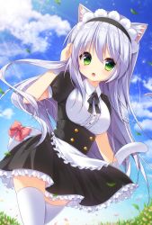 Rule 34 | 1girl, animal ears, apron, blue sky, blurry, blush, breasts, cat ears, cat girl, cat tail, center frills, cloud, cloudy sky, corset, day, depth of field, dutch angle, frilled apron, frills, grass, green eyes, hair between eyes, highres, large breasts, leaf, light rays, long hair, looking at viewer, maid, maid headdress, nagisa rio, open mouth, original, outdoors, puffy short sleeves, puffy sleeves, short sleeves, silver hair, sky, smile, solo, tail, thighhighs, underbust, waist apron, white thighhighs, wrist cuffs, zettai ryouiki