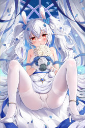 Rule 34 | 1girl, :o, absurdres, animal ears, anklet, azur lane, blue flower, blue ribbon, bouquet, breasts, commentary request, devil heavens, dress, flower, full body, gloves, hair between eyes, hair flower, hair ornament, hair ribbon, high heels, highres, holding, holding bouquet, jewelry, laffey (azur lane), laffey (white rabbit&#039;s oath) (azur lane), long hair, looking at viewer, m legs, official alternate costume, panties, panties under pantyhose, pantyhose, parted lips, petals, rabbit ears, red eyes, revision, ribbon, sitting, small breasts, solo, spread legs, twintails, underwear, very long hair, white dress, white flower, white footwear, white gloves, white hair, white panties, white pantyhose, white ribbon