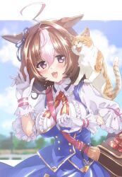 Rule 34 | 1girl, ahoge, animal, animal ears, animal on shoulder, bag, blurry, blurry background, blush, bow, breasts, cat, commentary request, ear bow, gloves, headband, highres, horse ears, horse girl, kuroi mimei, large breasts, meisho doto (umamusume), meto (cat), open mouth, purple eyes, satchel, sky, solo, tears, umamusume