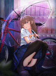 Rule 34 | 1girl, :o, absurdres, bicycle, black panties, black thighhighs, blurry, blurry background, brown eyes, brown hair, cat, clothing cutout, commentary request, dress, eyes visible through hair, fangs, frilled dress, frills, full body, hair between eyes, highres, holding, holding umbrella, knees together feet apart, long hair, looking at viewer, lower teeth only, open mouth, original, outdoors, panties, pantyshot, rain, see-through, shadow, sharp teeth, shirt, shoes, short sleeves, sky wbo, solo, squatting, teeth, thighhighs, thighs, umbrella, underwear, vending machine, white shirt, zettai ryouiki