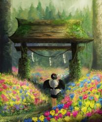 Rule 34 | 1girl, bird wings, black hair, black ribbon, black skirt, black wings, collared shirt, commentary, commentary request, day, facing away, field, fjsmu, flower, flower field, forest, from behind, hat, highres, moss, nature, outdoors, overgrown, plant, pom pom (clothes), ribbon, rope, scenery, shameimaru aya, shide, shimenawa, shirt, short hair, short sleeves, skirt, solo, standing, tengu, tokin hat, torii, touhou, vines, white shirt, wings