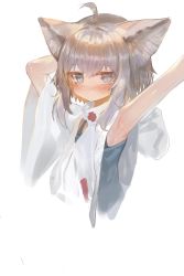 Rule 34 | 1girl, ahoge, animal ear fluff, animal ears, arknights, arm behind head, armpits, arms up, blue tank top, blush, brown hair, closed mouth, commentary request, cropped torso, dokomon, grey eyes, hair between eyes, highres, nose blush, simple background, solo, sussurro (arknights), tank top, upper body, white background