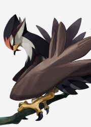 Rule 34 | animal focus, beak, bird, branch, commentary request, creatures (company), from side, game freak, gen 4 pokemon, gogot, highres, looking down, nintendo, no humans, pokemon, pokemon (creature), red eyes, solo, staraptor, talons