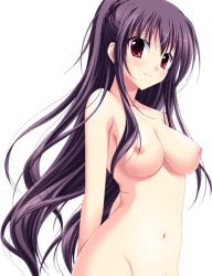 Rule 34 | 00s, 1girl, atelier kaguya, bare legs, bare shoulders, blush, braid, breasts, choco chip, cleavage, closed mouth, collarbone, completely nude, dutch angle, eyelashes, feet out of frame, female focus, game cg, hair between eyes, large breasts, lips, long hair, looking at viewer, navel, nipples, nude, prima stella, purple hair, red eyes, shade, simple background, smile, solo, standing, stomach, tachi-e, takasu miyabi, transparent background, upper body, very long hair