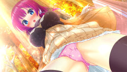 Rule 34 | 1girl, :o, autumn, bag, black thighhighs, blue eyes, blush, breasts, buttons, clothes lift, colored eyelashes, cowboy shot, crop top, crotch, dress, dress lift, dutch angle, embarrassed, female focus, forest, from below, game cg, haikai giga, hair tubes, holding, jacket, kumihama yuki, large breasts, light rays, looking at viewer, looking down, nature, nironiro, open clothes, open jacket, open mouth, outdoors, panties, pink hair, print panties, purple hair, purple panties, raised eyebrows, ren&#039;ai phase, ribbed sweater, shopping bag, short hair with long locks, solo, star (symbol), star print, sunbeam, sunlight, sweater, sweater dress, thighhighs, tree, underwear